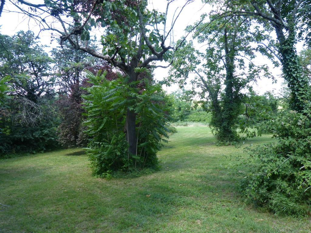 Mas Moise Bed & Breakfast Sauve Dış mekan fotoğraf